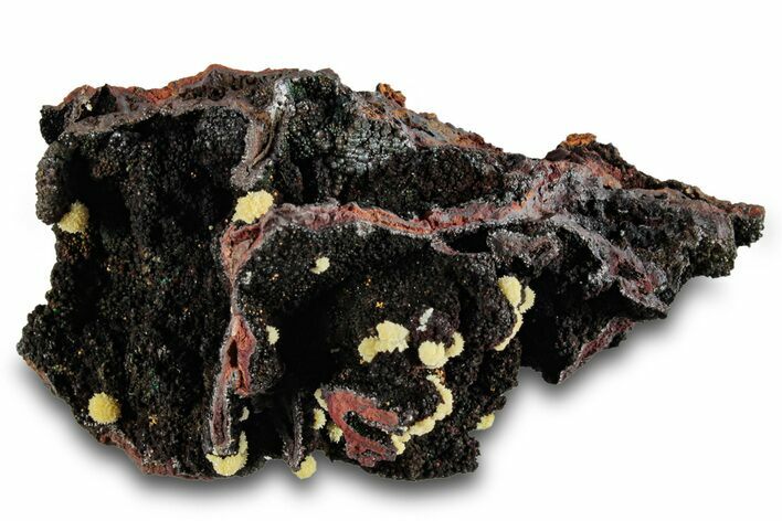 Mimetite Crystal Clusters on Limonitic Matrix - Mexico #261928